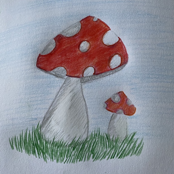 Hey Pandas Draw A Toadstool And Post The Best Result (Closed)