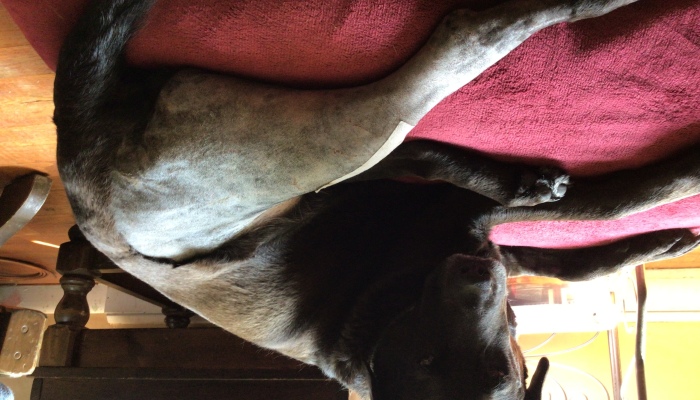 Hey Pandas, Share Something That You’re Happy About (Closed)