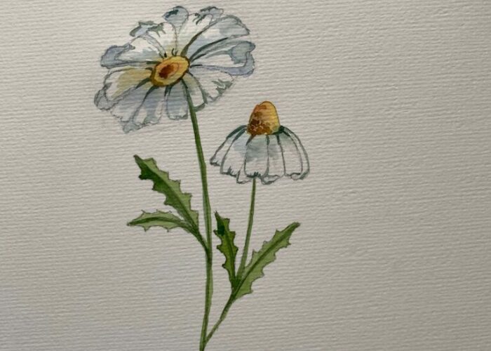 Hey Pandas, Draw A Really Simple Thing That You Can See Behind You (Closed)