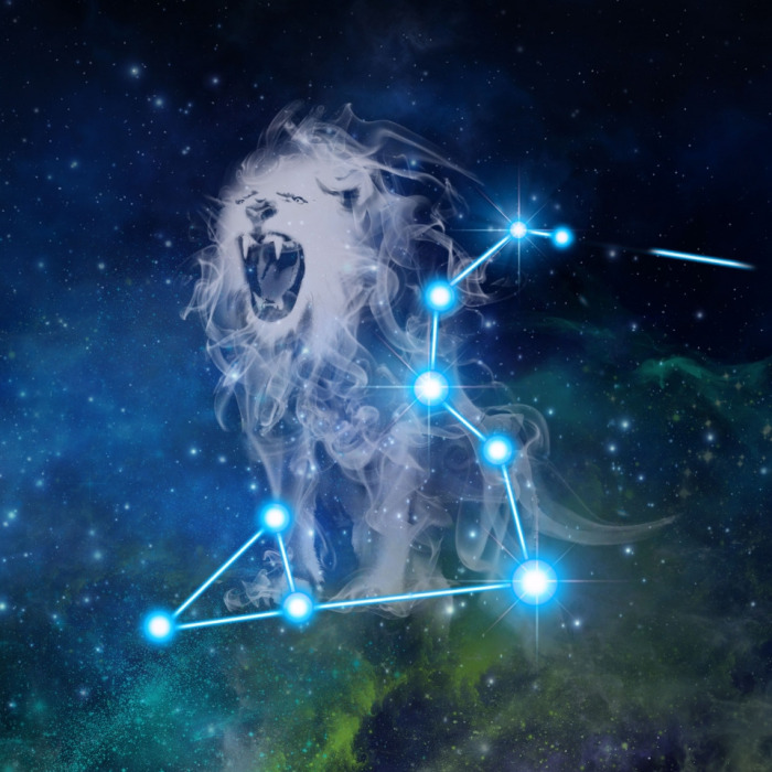 Hey Pandas! Today Is The International Lion Day. Let’s Celebrate With A Bit Of Culture!