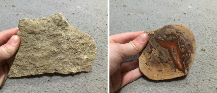 I Have Created A Museum Out Of Artifacts That I Find Around The World And You Have Free Tickets To Look At It