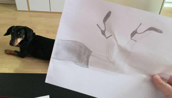 Hey Pandas, Take A Picture Of Your Pet And Draw The Other Half On A Piece Of Paper (Closed)