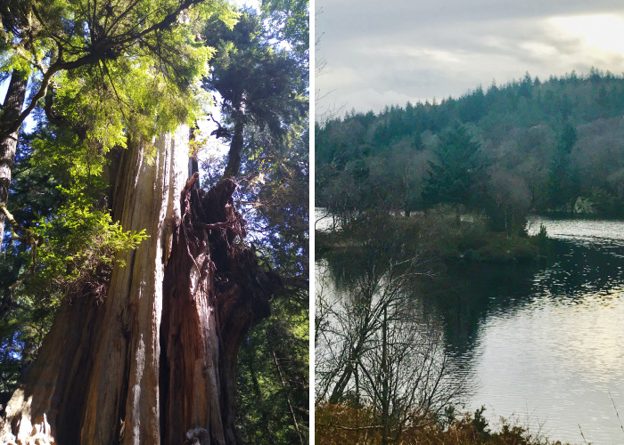 Hey Pandas, Show Me A Picture That You Took At A National Park (Closed)