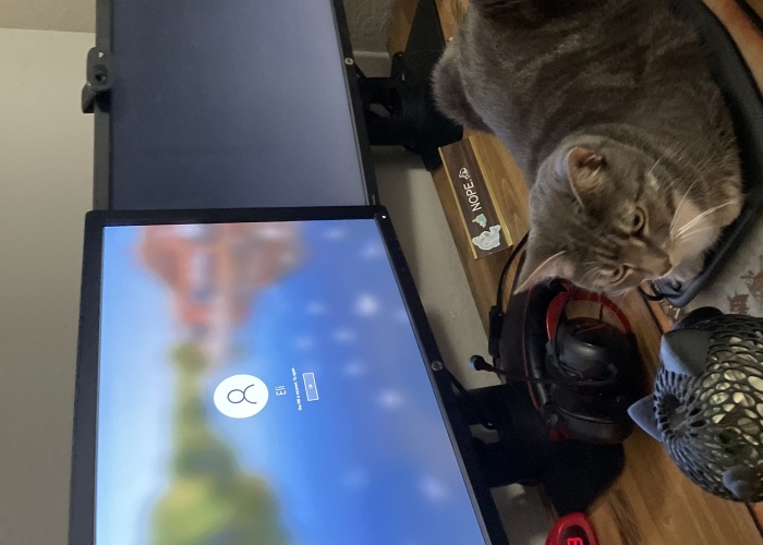 Hey Pandas, Photoshop My Cat