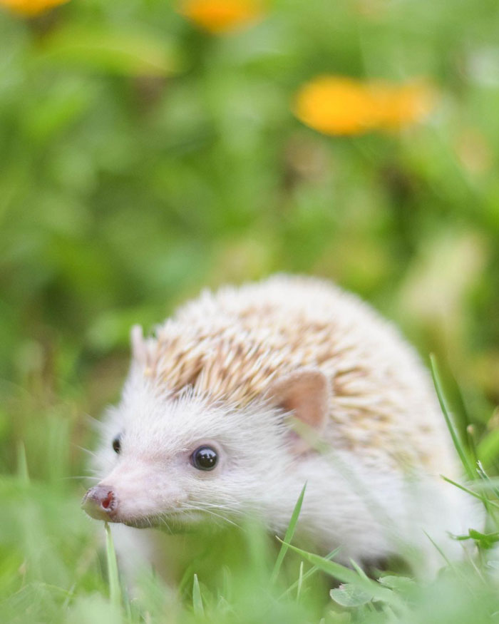 How Did You Enjoy The Weekend?