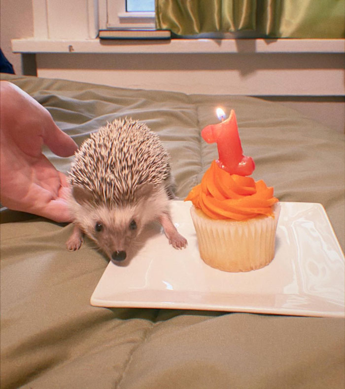 Okay, One Last Post For The Birthday Girl Because These Pics Are Precious