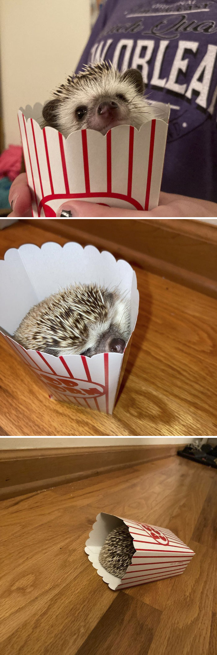 I Love My New Popcorn Box