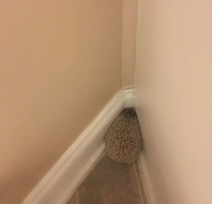 So Much For Exploring