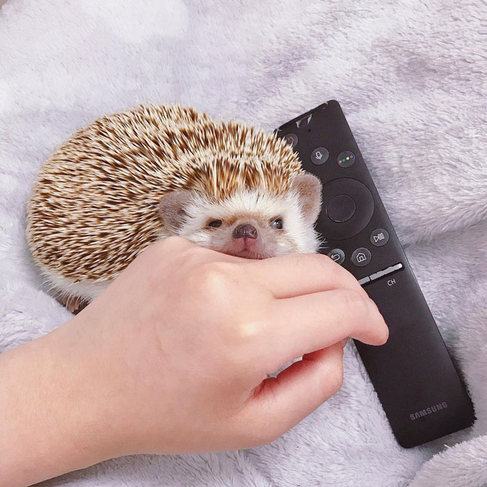 This Baby Girl Always Bothers Me When I’m Watching TV