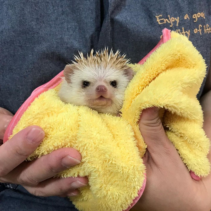 After A Bath
