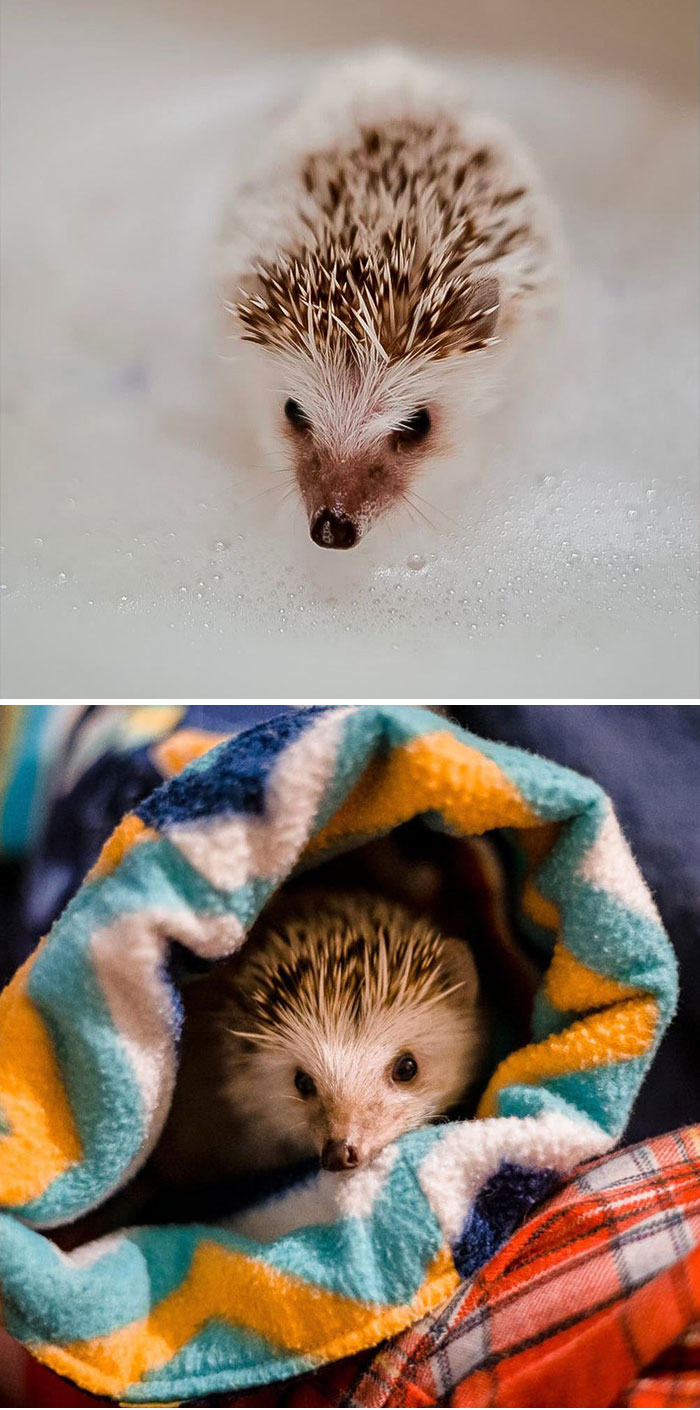 Scrub A Dub Dub Beaker Boi In A Tub