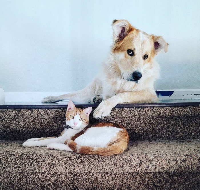 Mr Cash And Oliver Posing