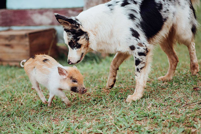 They’ve Found Each Other And Are Having The Best Time Together
