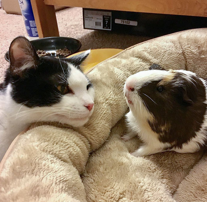 Xianxian Sometimes Just Looks At Me Directly And Makes Me Confused