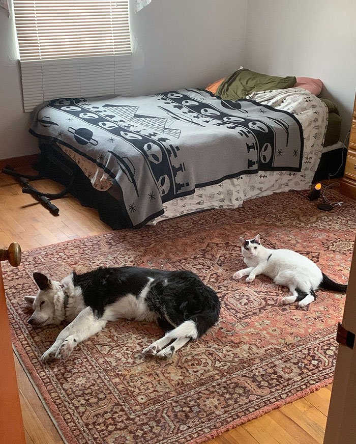 10 1/2 Years Apart, But Still So Alike