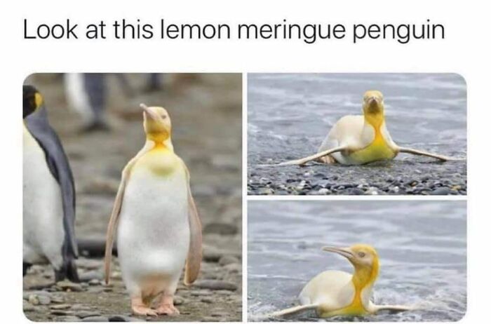 Cute-Wholesome-Blessed-Pics