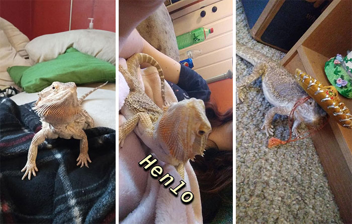 Cute-Wholesome-Blessed-Pics