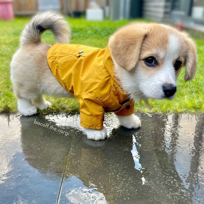 Cute-Wholesome-Blessed-Pics