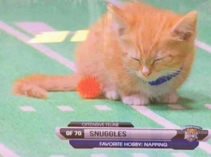 Cute-Wholesome-Blessed-Pics