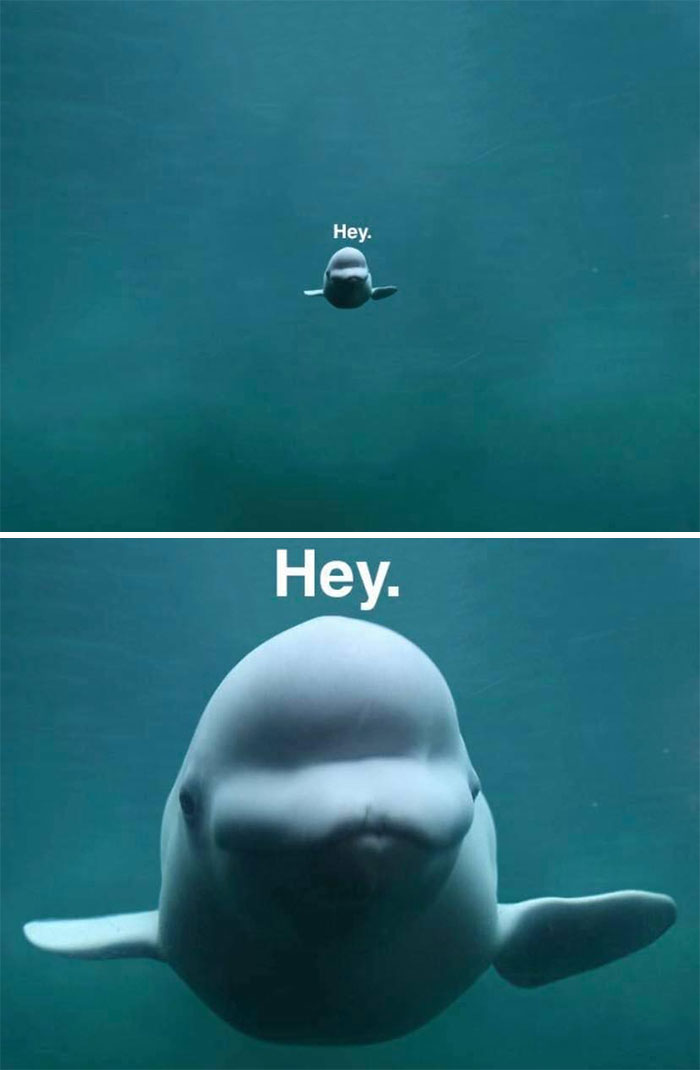 Cute-Wholesome-Blessed-Pics