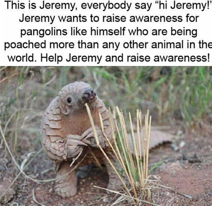 Cute-Wholesome-Blessed-Pics