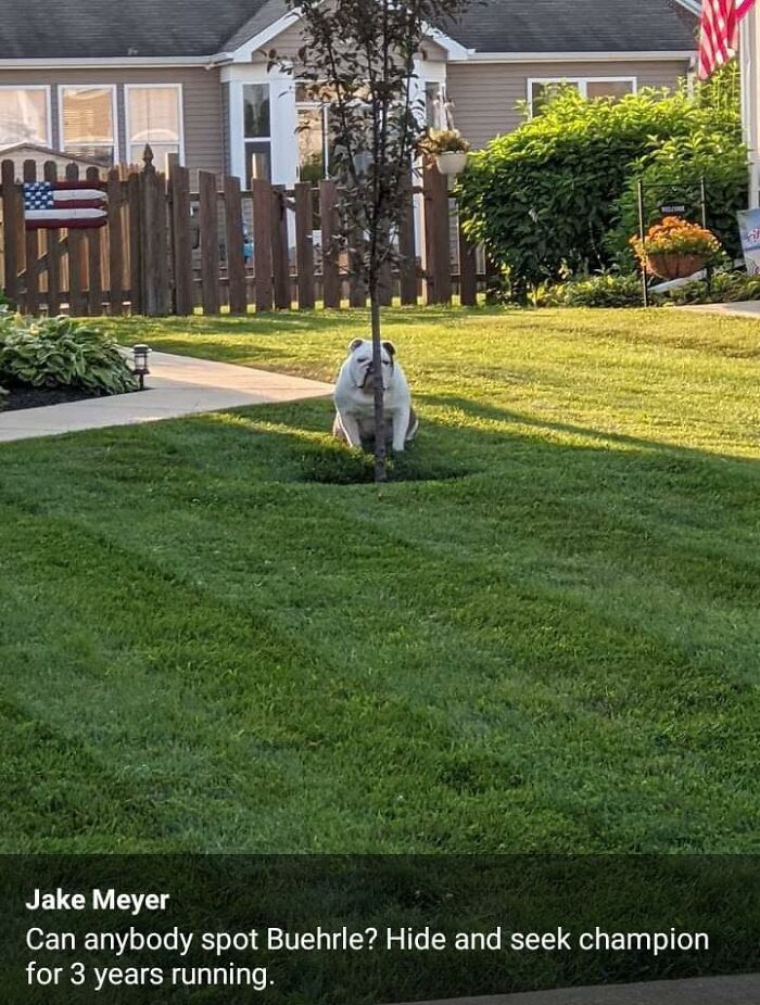 Cute-Wholesome-Blessed-Pics