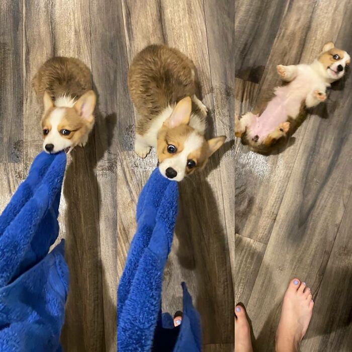 What Thanos Thinks About Bath Time