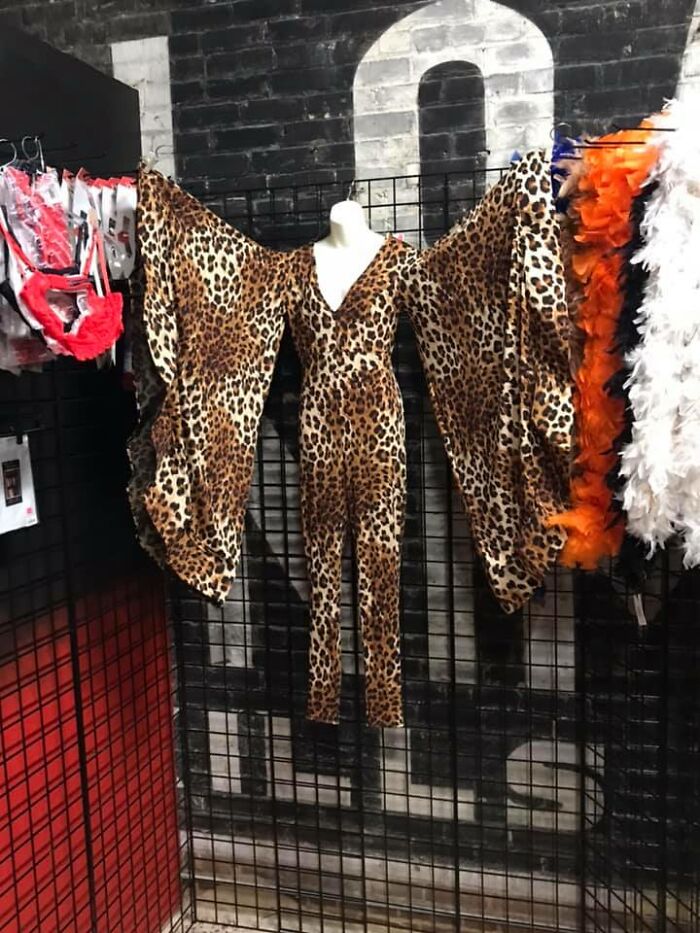 If Cheetara & Mothman Had A Child. Looks Terrifying In The Dark But Pic Won’t Take