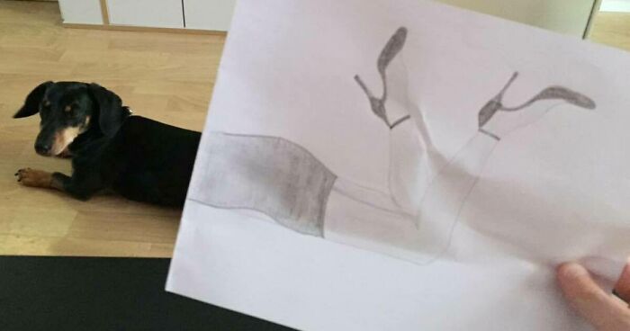 Hey Pandas, Take A Picture Of Your Pet And Draw The Other Half On A Piece Of Paper (Closed)