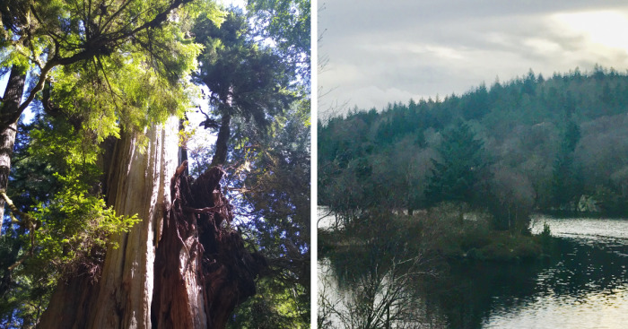 Hey Pandas, Show Me A Picture That You Took At A National Park (Closed)