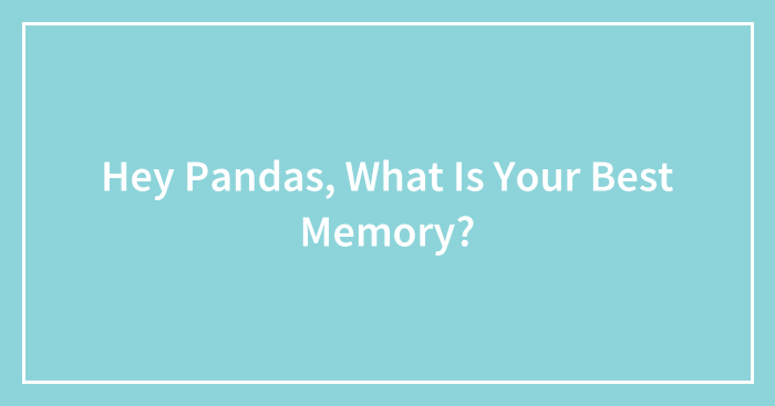 Hey Pandas, What Is Your Best Memory? (Closed)
