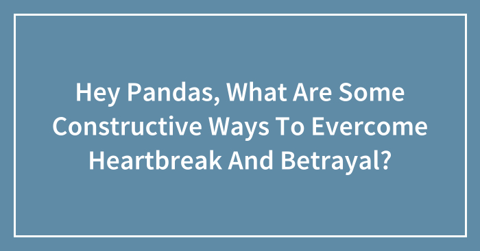 Hey Pandas, What Are Some Constructive Ways To Evercome Heartbreak And Betrayal? (Closed)