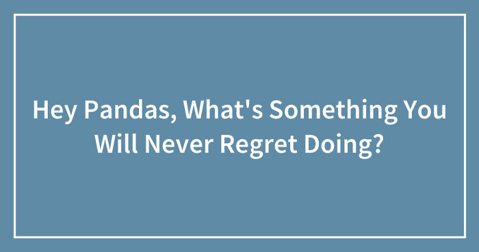 Hey Pandas, What’s Something You Will Never Regret Doing? (Closed)