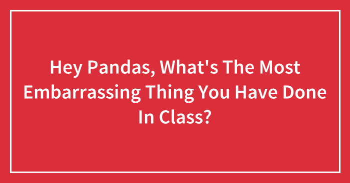 Hey Pandas, What’s The Most Embarrassing Thing You Have Done In Class? (Closed)