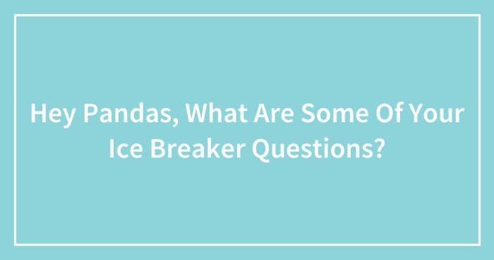 Hey Pandas, What Are Some Of Your Ice Breaker Questions? (Closed)
