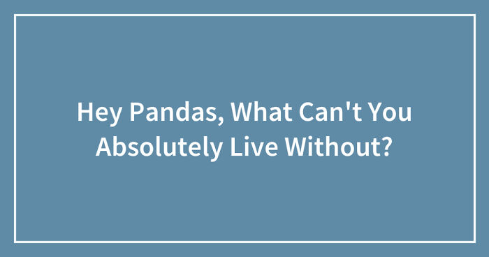 Hey Pandas, What Can’t You Absolutely Live Without? (Closed)