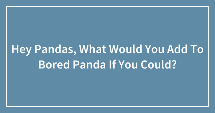 Hey Pandas, What Would You Add To Bored Panda If You Could? (Closed)