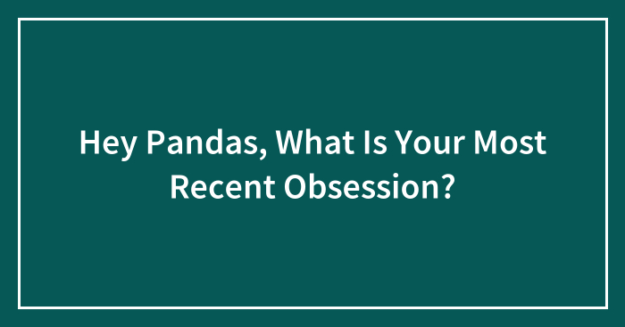 Hey Pandas, What Is Your Most Recent Obsession? (Closed)