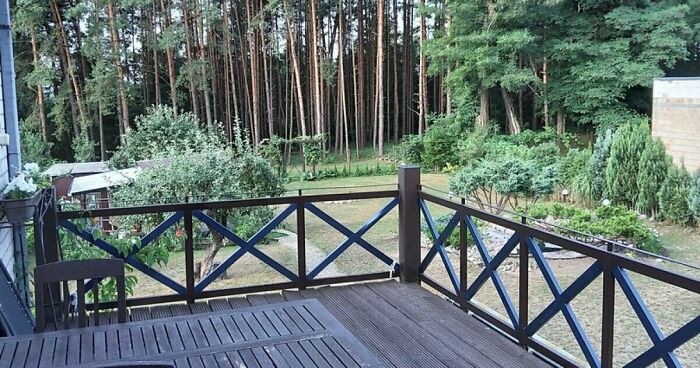 Hey Pandas, Show Us Your Summery Backyards (Closed)