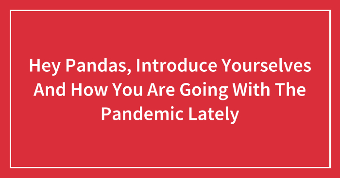 Hey Pandas, Introduce Yourselves And How You Are Going With The Pandemic Lately