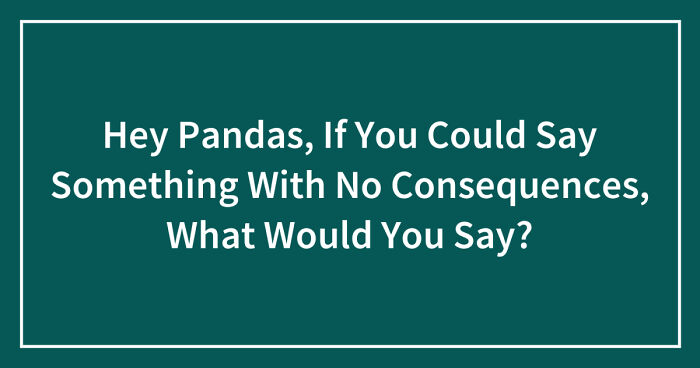 Hey Pandas, If You Could Say Something With No Consequences, What Would You Say? (Closed)