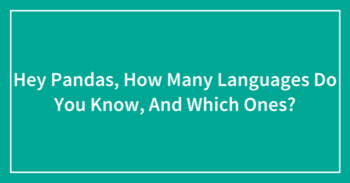 Hey Pandas, How Many Languages Do You Know, And Which Ones?
