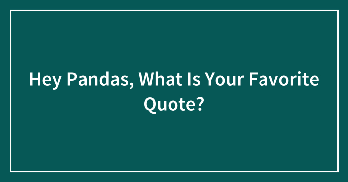 Hey Pandas, What Is Your Favorite Quote?