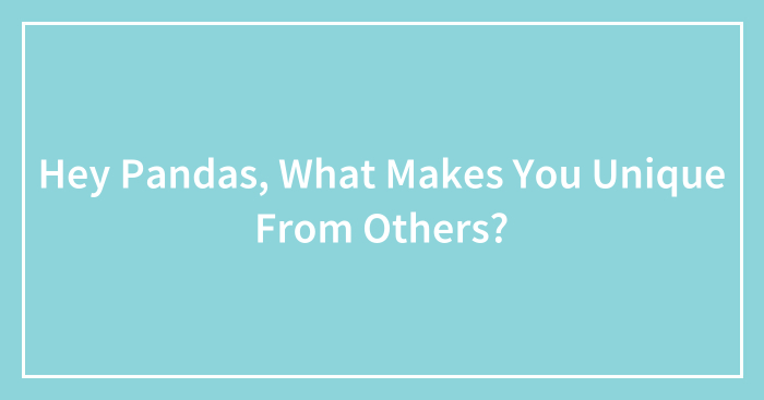 Hey Pandas, What Makes You Unique From Others? (Closed)