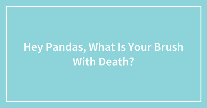 Hey Pandas, What Is Your Brush With Death? (Closed)