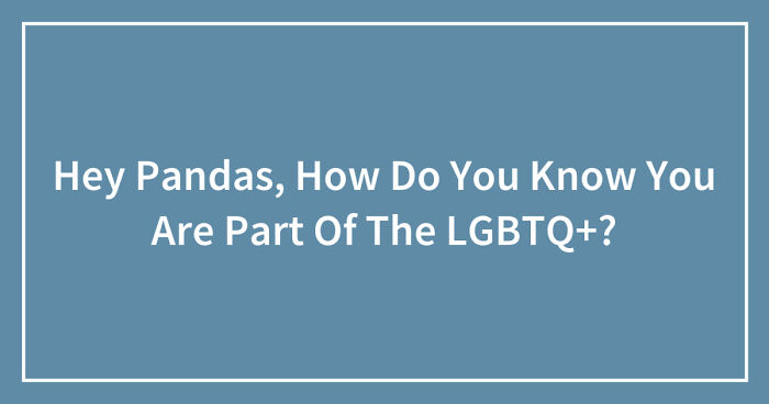 Hey Pandas, How Do You Know You Are Part Of The LGBTQ+? (Closed)