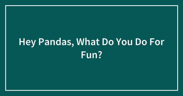 Hey Pandas, What Do You Do For Fun? (Closed)