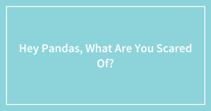 Hey Pandas, What Are You Scared Of? (Closed)