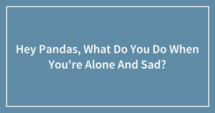 Hey Pandas, What Do You Do When You’re Alone And Sad? (Closed)