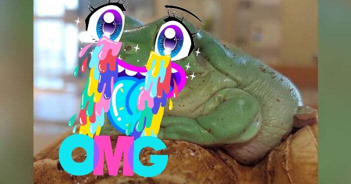 Omg What Even Am I Now